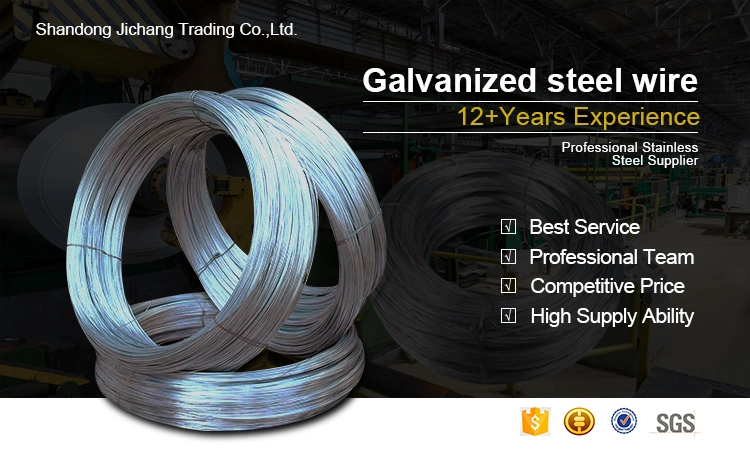 Zinc Wire Galvanized Steel Wire 16# 18# 20# Galvanized Steel Wire for Buidling